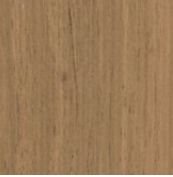 Кипарис Янтарный