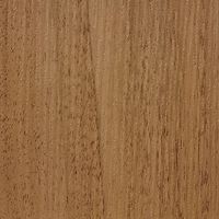 Дуб золотой