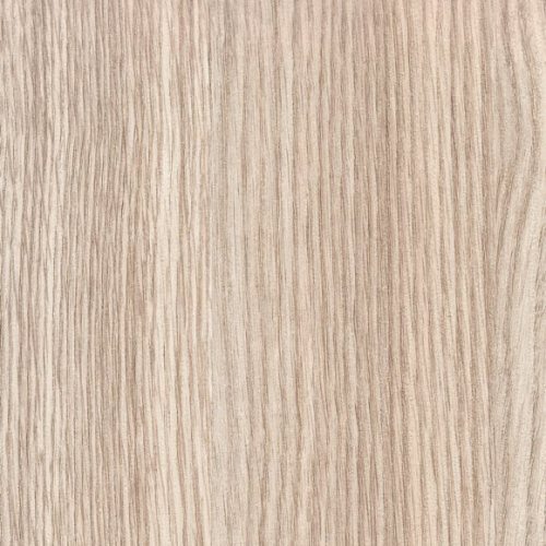 дуб дымчатый