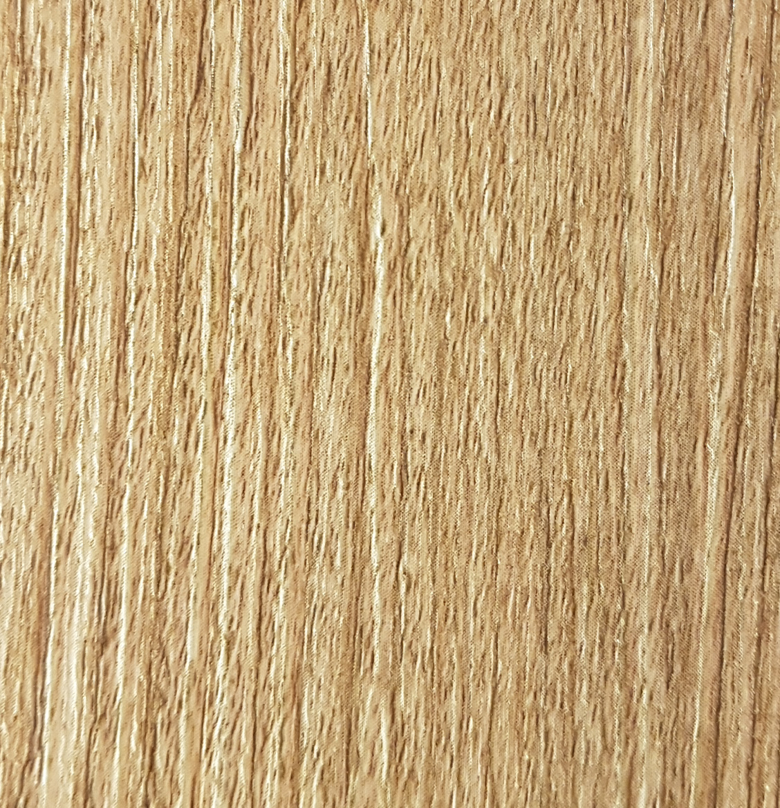 Ель карпатская