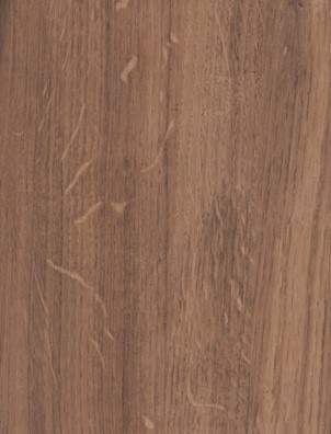 дуб морёный