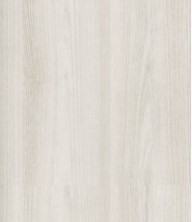 Дуб снежный istok