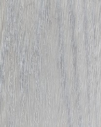 Дуб Шале снежный