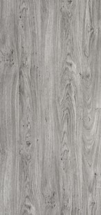 Дуб винчестер серый