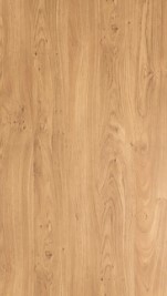 Дуб винчестер светлый