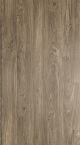 Дуб винчестер трюфель