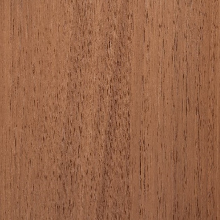 дуб золотой