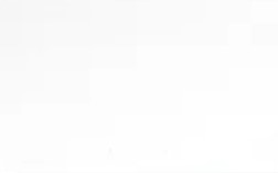 Ясень Белый SoftTouch