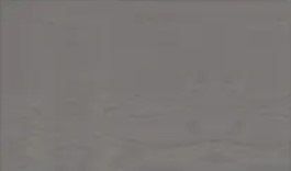 Ясень Грей SoftTouch