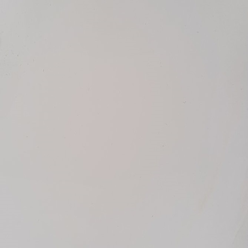 Магнолия Сатинат