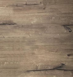 Дуб пацифик