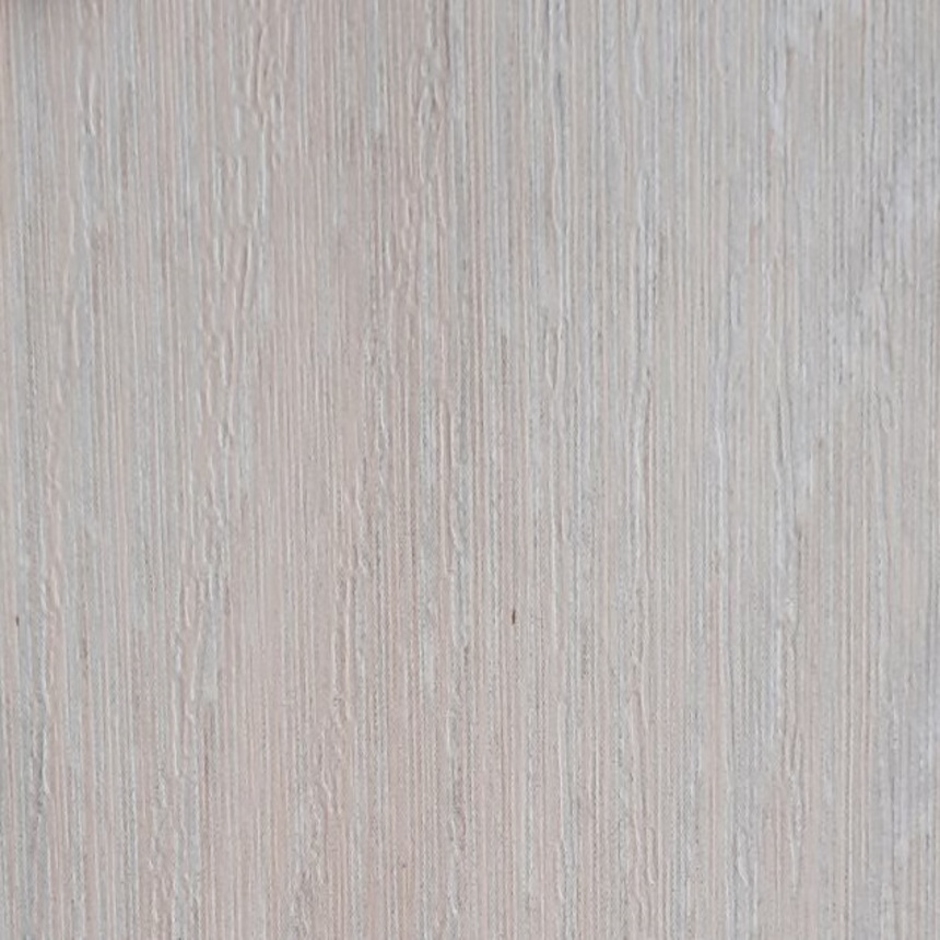 Дуб Шале снежный