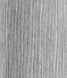 Сканди серый