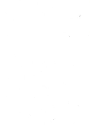 Soft Touch  белый