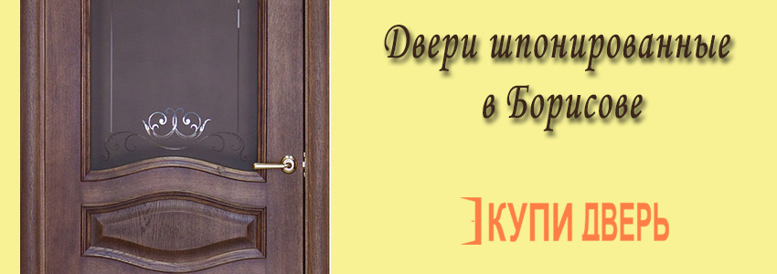 Двери межкомнатные шпонированные в Борисове, фото в интерьере