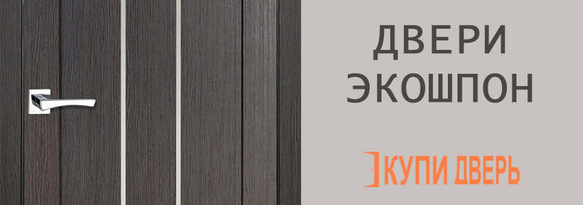 Двери экошпон