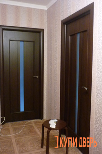 Двери в прихожую в квартире цвет венге в интерьере фото