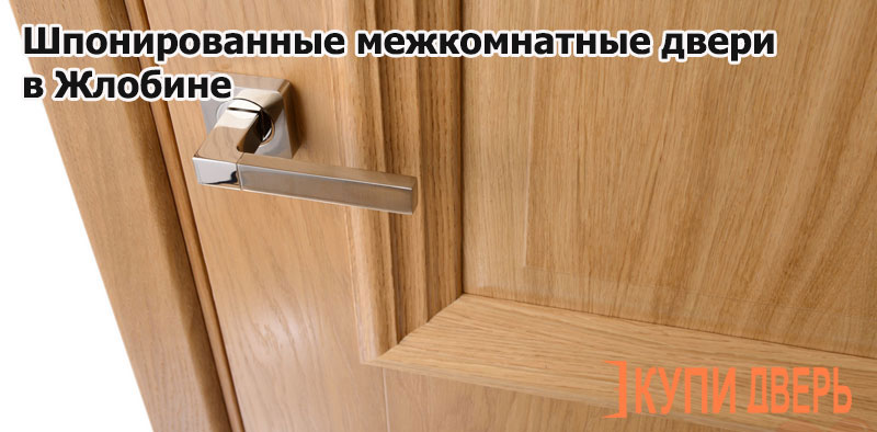 Шпонированные двери светлые